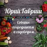 ДАЧА: СОВЕТЫ ОГОРОДНИКАМ И САДОВОДАМ