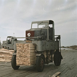 СЕВЕРНЫЙ ЛЕС