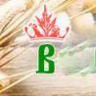 ВОЛШЕБНИЦА ПОЛЫНЬ