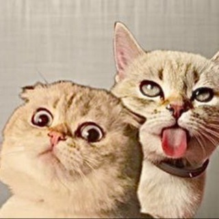 МИСА И ЛЁЛИК