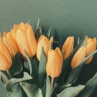 ПРОСТО МУСУЛЬМАНКА