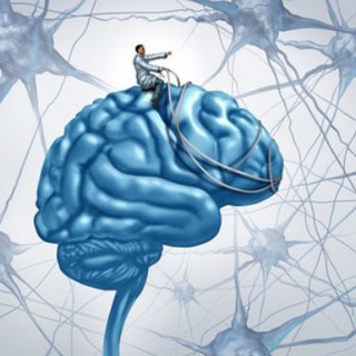 МЕДИТАЦИЯ И НАУКА