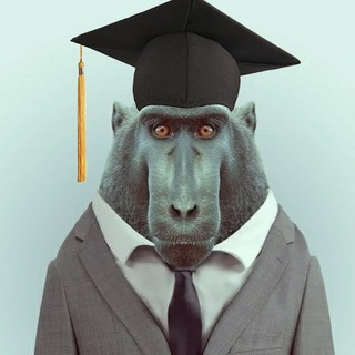 ОБЕЗЬЯНА ХОЧЕТ В КОЛЛЕДЖ