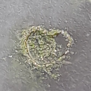 ОБОИ | КРАСИВЫЕ ФОТОГРАФИИ | КАРТИНКИ | ЗАСТАВКИ HD