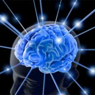 БИЗНЕС МОЗГ