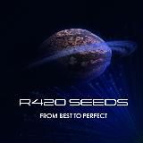 R420 SEEDS (ВИТРИНА)