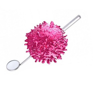 STREPTOCOCCUS MUTANS