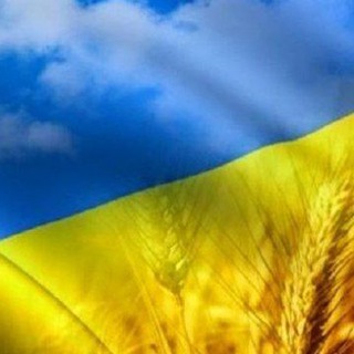 ВОЛОНТЕРСЬКИЙ ЦЕНТР ВІЛЬНОГІРСЬКА