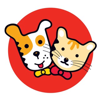 ЖИВОТНЫЕ / ВИДЕО / МЕМЫ