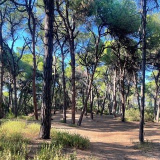 ΨЭПОХЕ: ТЕРРИТОРИЯ САМОПОЗНАНИЯ