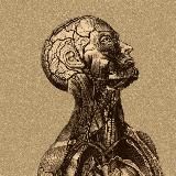 АНАТОМИЯ И МЕДИЦИНА