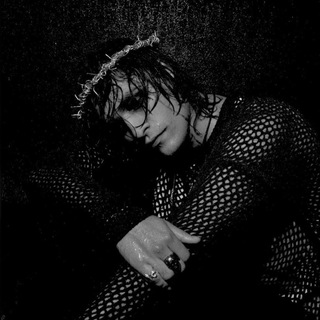 В ГОСТЯХ У SHEBLINAFAN