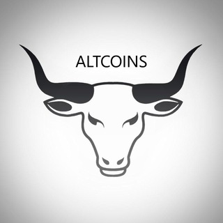 ALT_WHITE BULLS