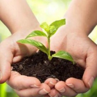 АГРО ОГОЛОШЕННЯ 