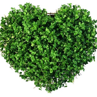 ZЭЛЕНЬ-МЭЛЕНЬ