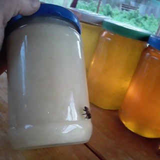 PRO ЗДОРОВЬЕ И МЁД