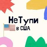 НЕТУПИ В США