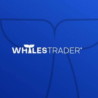 BINANCE & BITMEX SOCIETY