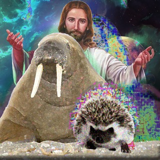 ЭВОЛЮЦИЯ МОРЖА В ЕЖА