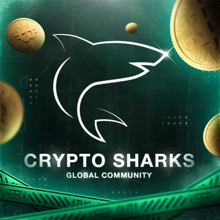 SHULENIN NIK | CRYPTO SHARKS