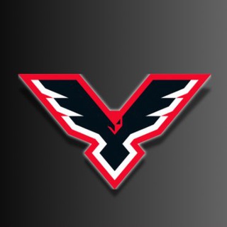 ПИНСКИЕ ЯСТРЕБЫ | PINSK HAWKS