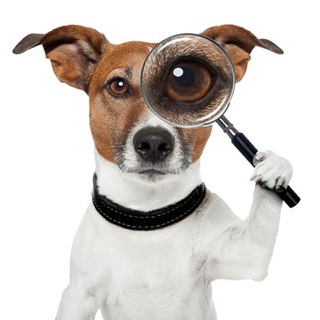 КАНАЛЫ × ОБУЧЕНИЯ × ШАБЛОНЫ