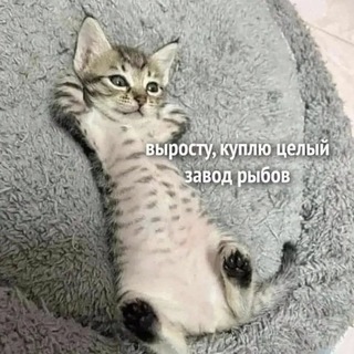 СЛАДКАЯ ЖИЗНЬ С ОЛЬГОЙ