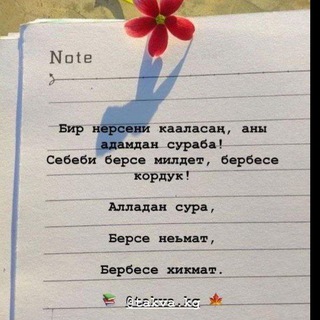 ҮЙДӨ ОТУРУП АКЧА ТАБУ