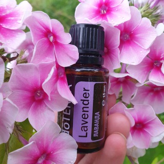 ВЛЮБЛЕННЫЕ В МАСЛА 