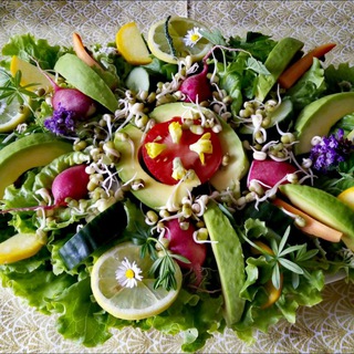 UR,-ROHKOST UND ECHTER VEGANISMUS