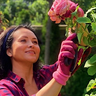 СВЕТИК СЕМИЦВЕТИК