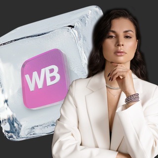 ЭЛЬВИРА ВОРОБЬЕВА ДЕНЬГИ НА WILDBERRIES. ПРЕДПРИНИМАТЕЛЬ