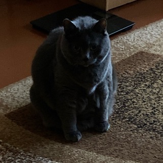 ТУМАНОВ | СТИХИ