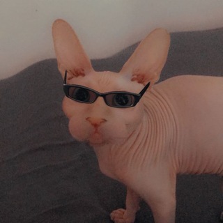 УВОЖУ КОТИКОВ