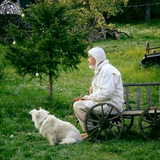 ПОЭТЫ ПЕРВОЙ НЕОБХОДИМОСТИ