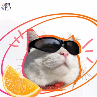 СОНЯ БЕЛЕНКО | РУССКИЙ ЯЗЫК ЕГЭ 2024