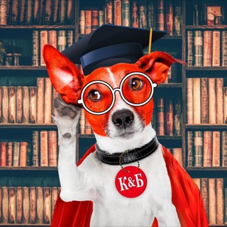 КНИГИ КРАСИВЫХ&БОДРЫХ