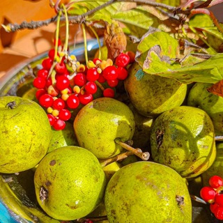 НА МАЛЕНЬКОЙ КУХНЕ