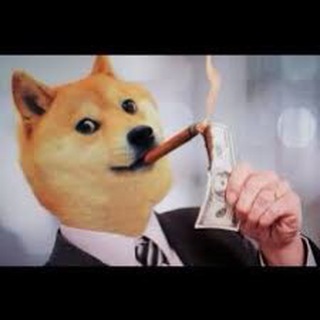 FREE DOGE EVERYDAY