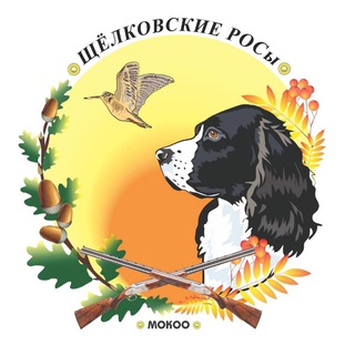 РУССКИЙ ОХОТНИЧИЙ СПАНИЕЛ ЩРОСЫ