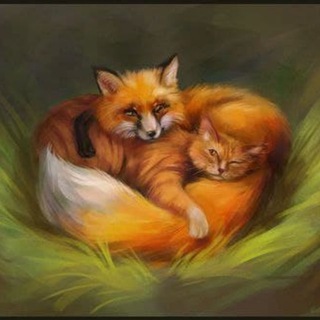 ЭТО МОГЛИ БЫТЬ МЫ С ТОБОЙ