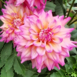 ДЛЯ НАСТРОЕНИЯ