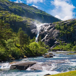 ЧАТ ДАЛЬНИЙ ВОСТОК