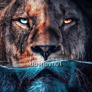 МОТИВАЦИЯ|DUSHEVN01|САМОРАЗВИТИЕ | БИЗНЕС