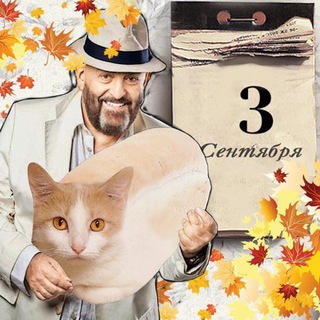 Я ОЦЕНИВАЮ БУХАНКИ