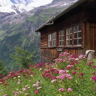 ЗАДУШЕННЫЕ ИДЕИ