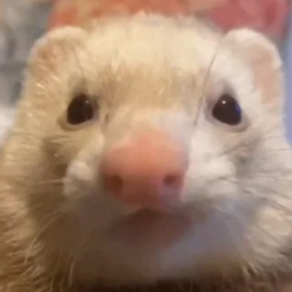 ПРОМО ОТ ХОРЬКА