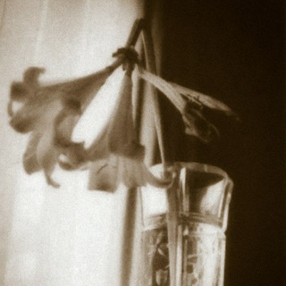 СИРИНА | ПОЭЗИЯ