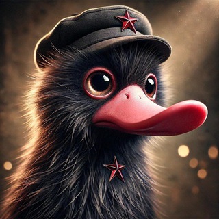 ТОВАРИЩ НЮХЛЕР