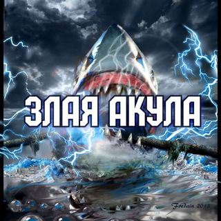 ЗЛАЯ АКУЛА